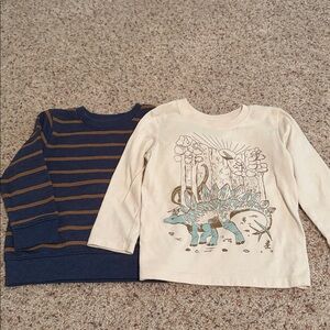 Cat & jack 2T boys shirt bundle